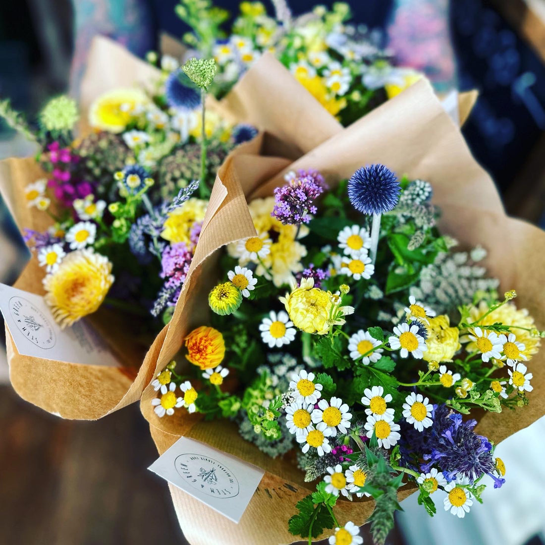 STEM + GREEN FLOWERS